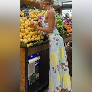 NWT 2 pc floral top and maxi skirt from Indikah